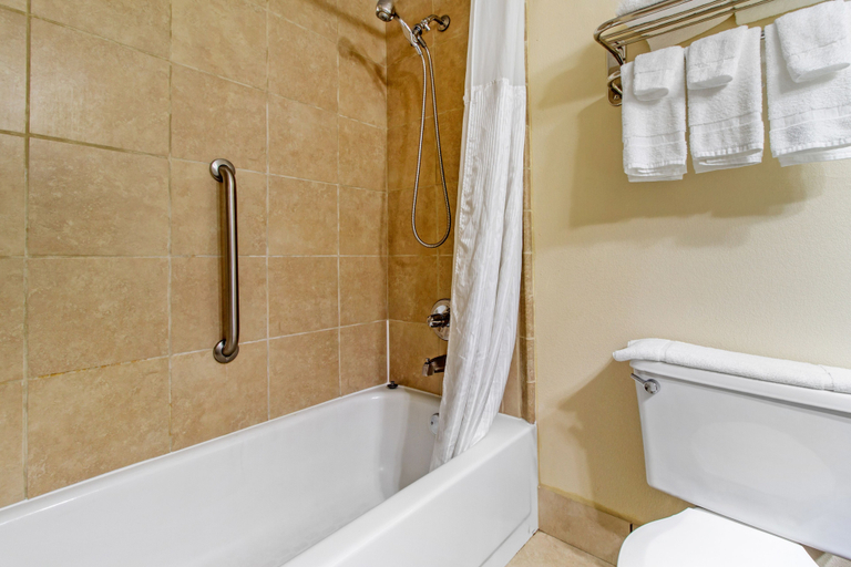 Bathroom 4, Quality Inn Bulls Gap, Greene