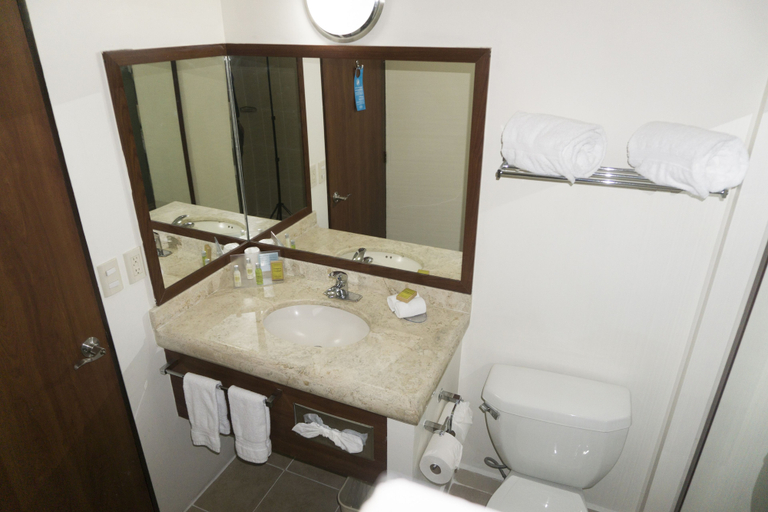 Bathroom 4, Hampton Inn by Hilton San Juan del Rio, San Juan del Río