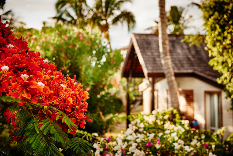 Exterior & Views 2, Iloha Seaview Hotel, Saint-Leu