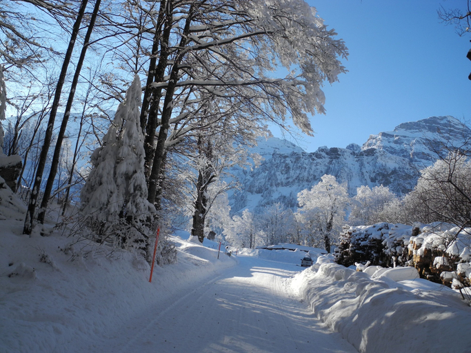 Others 5, Gasthaus Schwand, Obwalden