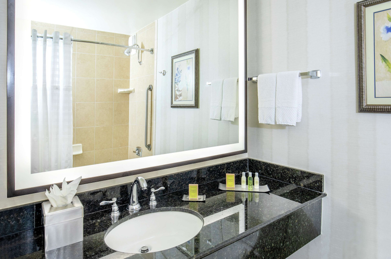 Bathroom 3, DoubleTree by Hilton Hotel Nashville Downtown, Davidson