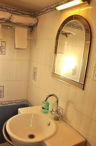Bathroom 3, Sargam Sadan, Udaipur