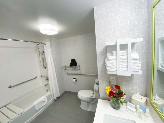 Bathroom 4, Hampton Inn Carlsbad-North San Diego County, San Diego