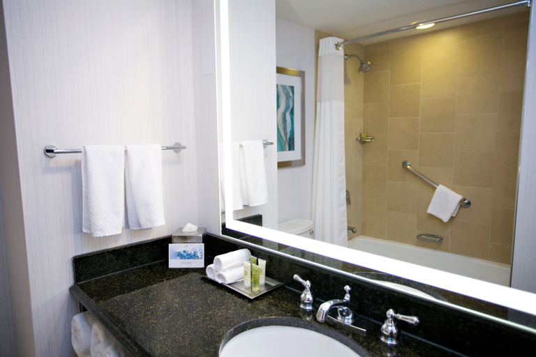 Bathroom 5, Hilton Minneapolis/Bloomington, Hennepin
