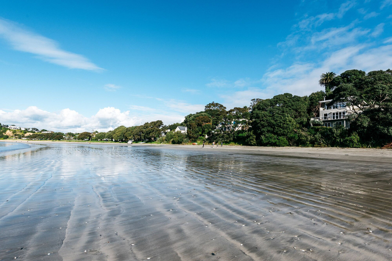 Others 4, The Beach House, Auckland