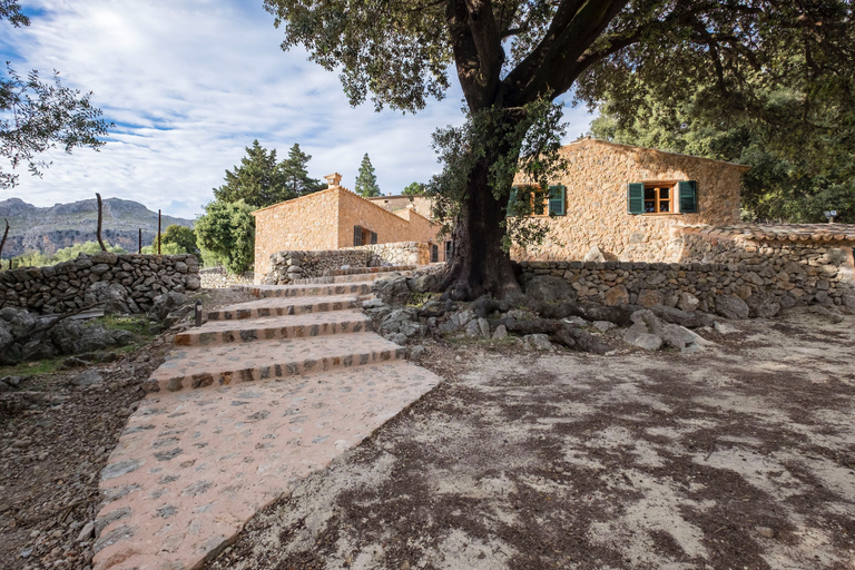Exterior & Views 2, Agroturismo Son Alzines, Baleares