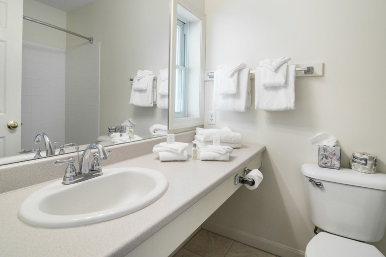 Bathroom 4, The Lodge at Bretton Woods, Coos