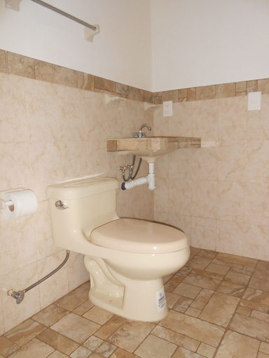 Bathroom 4, John David, Palenque