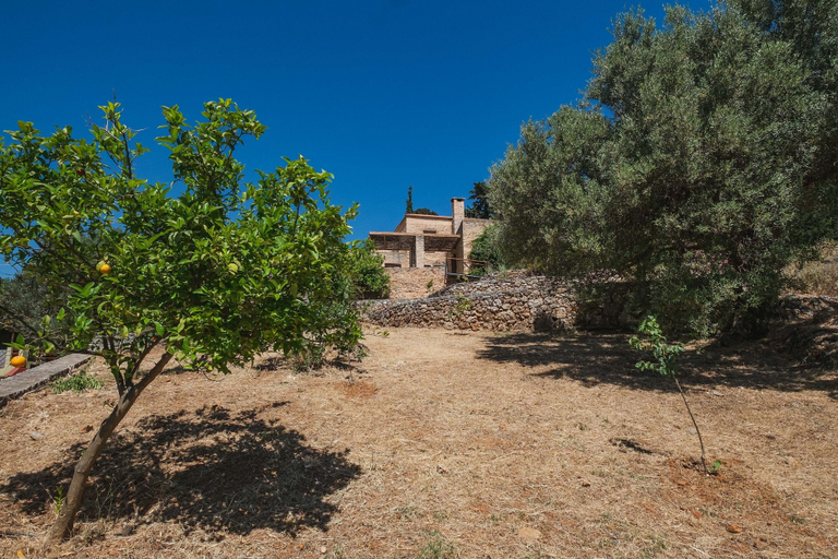 Exterior 5, Villa Kalogra - Natural Habitat w. Views, Crete
