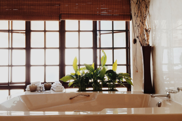 Bathroom 4, Coral Tree Inn, City of Tshwane