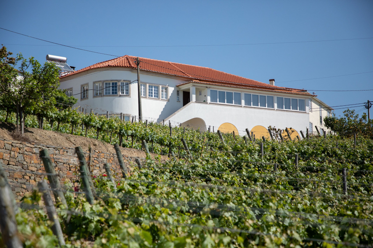 Exterior & Views, Casa do Vale, Peso da Régua