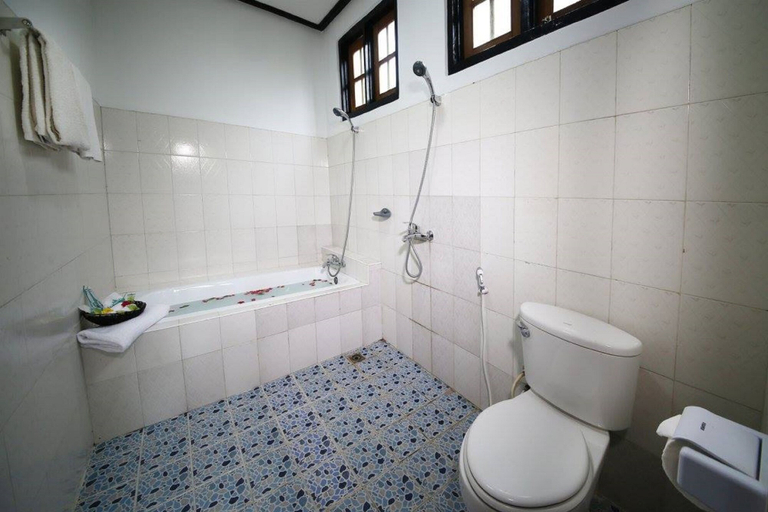 Bathroom 3, Nature Land Hotel II, Taunggye