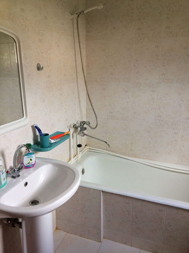 Bathroom 3, Mount view, Borjomi