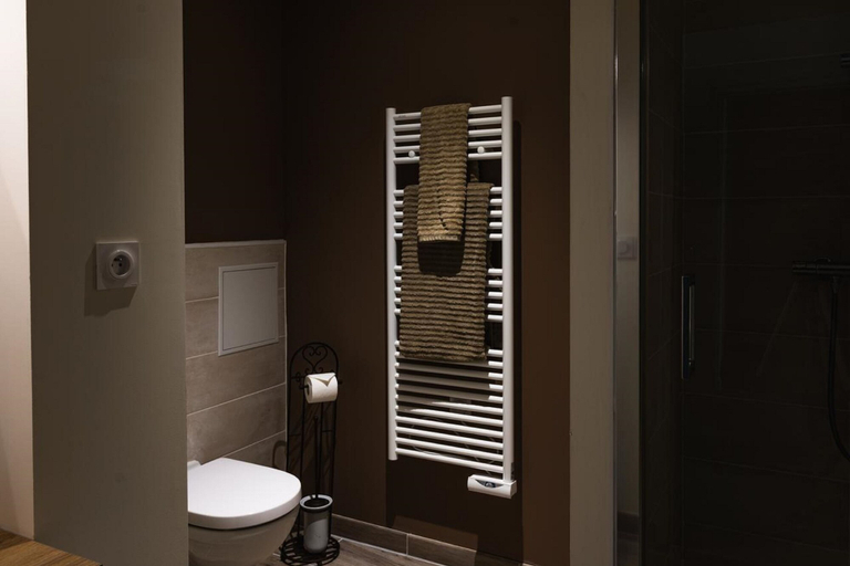 Bathroom 5, La ferme saint Jacques, Vienne
