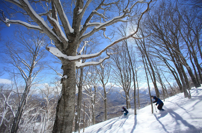 Others 5, Yakehashiri Cabin Village, Hachimantai