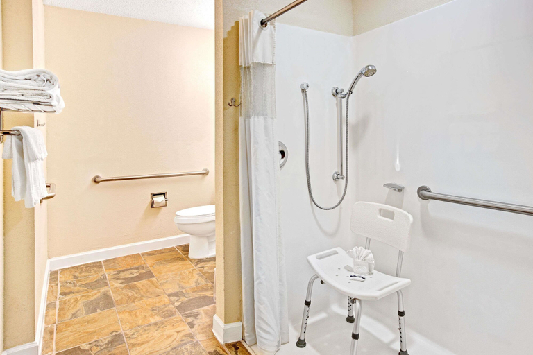 Bathroom 4, Microtel Inn & Suites by Wyndham Statesville, Iredell