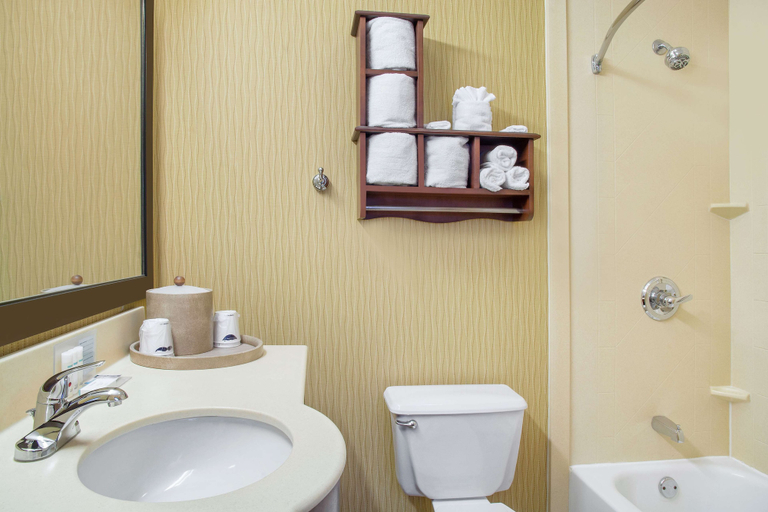 Bathroom 4, Hampton Inn by Hilton Merrillville, Lake
