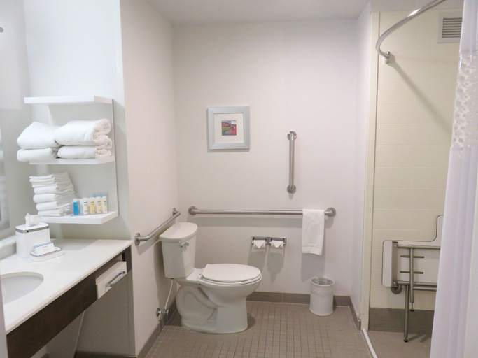 Bathroom 3, Hampton Inn by Hilton Detroit Dearborn, Wayne