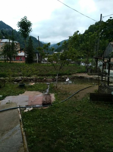 Garden 5, Yesil Doga Tatil Apart, Ardeşen