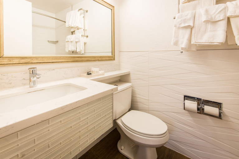 Bathroom 4, SOMA Park Inn – Civic Center, San Francisco