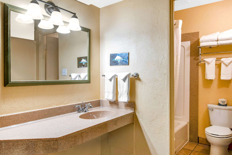 Bathroom 4, Econo Lodge Inn & Suites Durango, La Plata