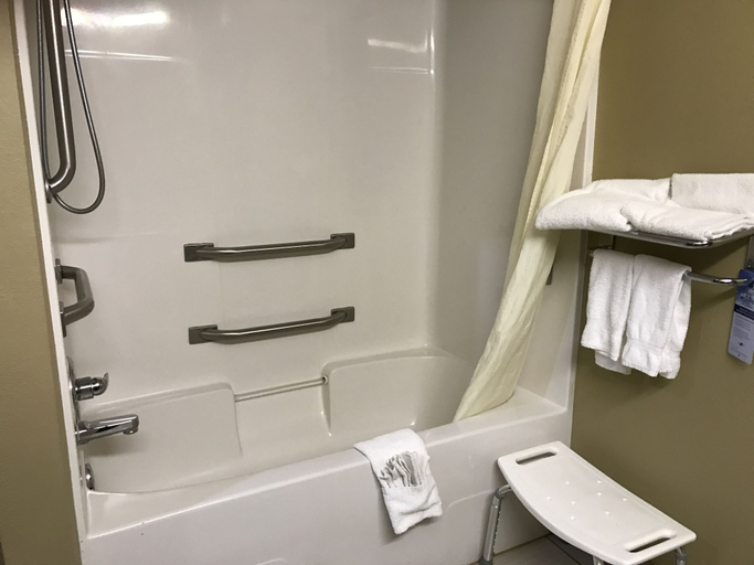 Bathroom 4, Microtel Inn & Suites by Wyndham Lithonia/Stone Mountain, DeKalb