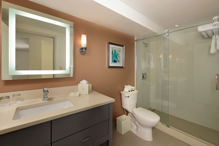Bathroom 4, Warwick Hotel Denver, Denver