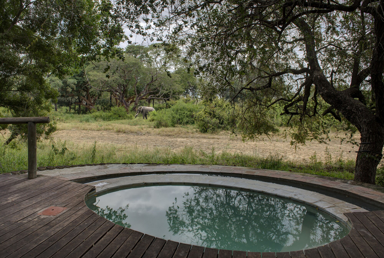 Sport & Beauty 5, Tintswalo Safari, Ehlanzeni