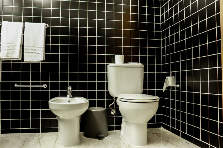 Bathroom 5, Monte Prado Hotel & Spa, Melgaço