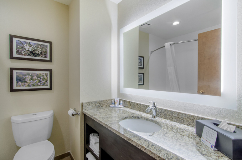 Bathroom 4, Comfort Inn St. Robert / Fort Leonard Wood, Pulaski