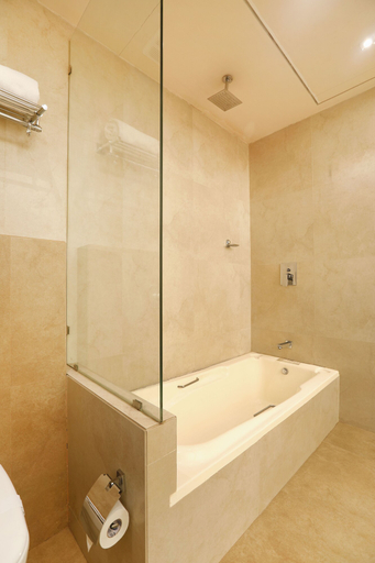 Bathroom 5, Mumbai Metro - The Executive Hotel, Mumbai Suburban