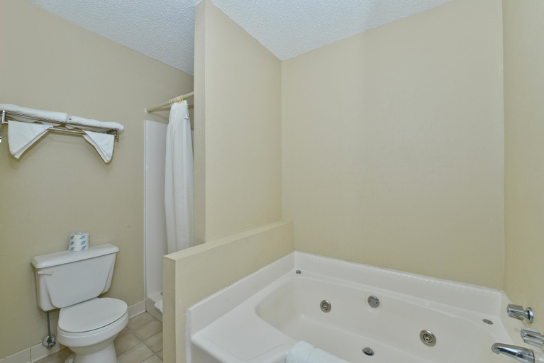 Bathroom, Americas Best Value Inn Hazlehurst, GA, Jeff Davis