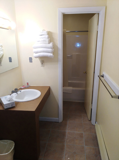 Bathroom 4, Econo Lodge Hornell, Steuben