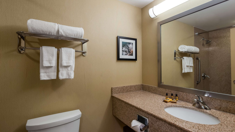 Bathroom 4, Best Western Plus Barrie, Simcoe