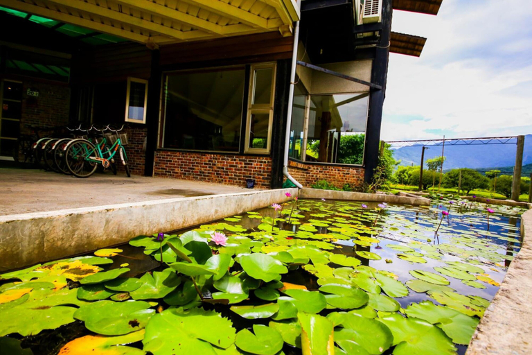 Sport & Beauty, Kilm B&B, Hualien