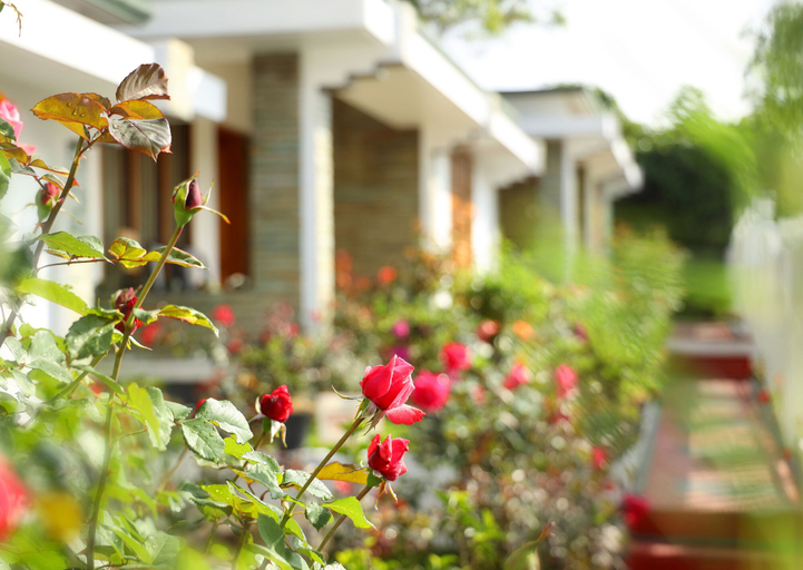 Exterior & Views 2, Elysium Gardens Hill Resorts, Idukki
