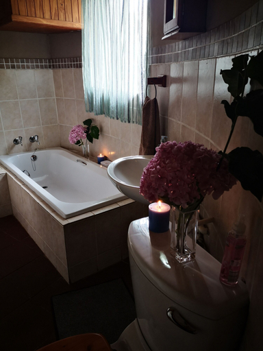 Bathroom 4, Dublin Guest Lodge, Ehlanzeni