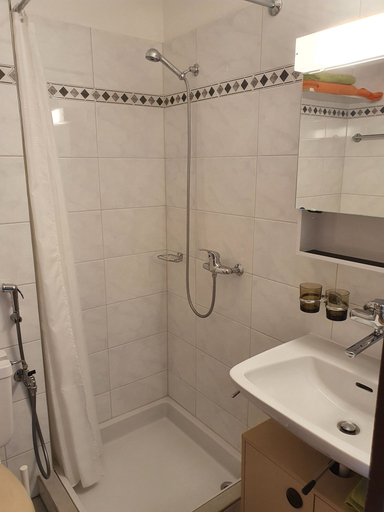 Bathroom, Elfe-apartments Studio Apartment for 2 guests, Nidwalden