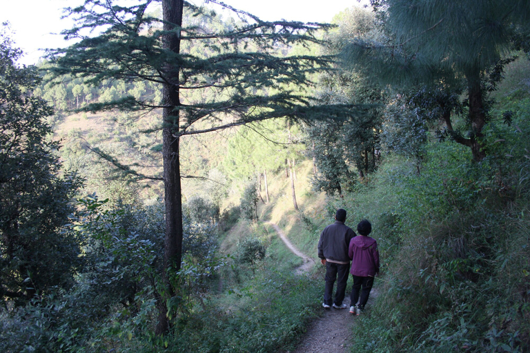 Others 5, Park Woods Shoghi, Solan