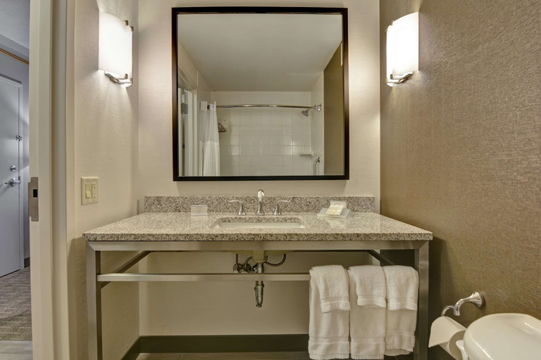 Bathroom 4, Hilton Garden Inn Appleton/Kimberly, Outagamie