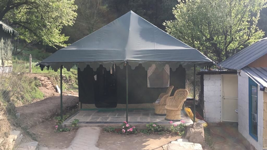 Camp Dharamshala - Luxury with peace, Kangra