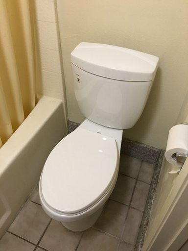 Bathroom 4, Executive Suites Inn, Orange