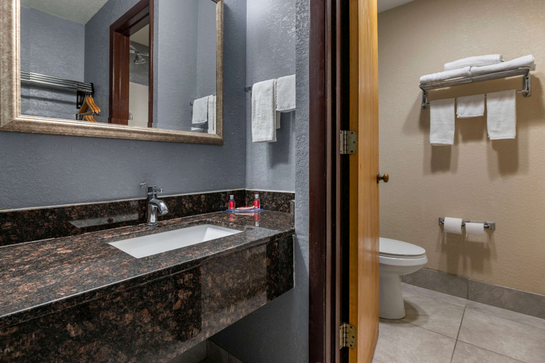 Bathroom 4, Econo Lodge Lafayette near University, Tippecanoe