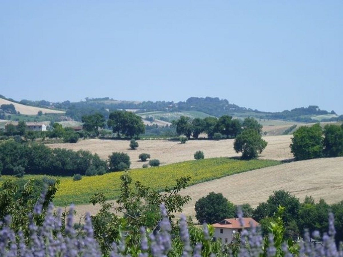 Others 4, Country House Il Sassone, Ancona