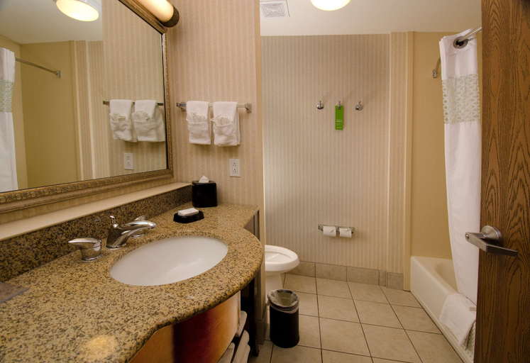 Bathroom 5, Hampton Inn & Suites Gallup, McKinley