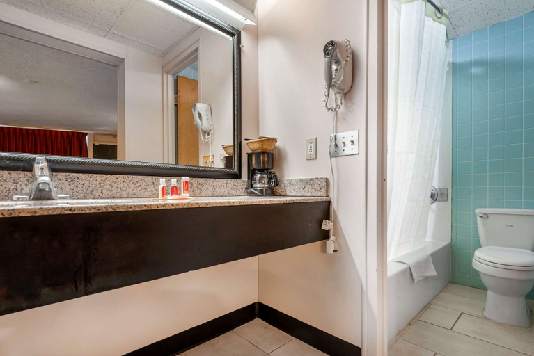 Bathroom 4, Econo Lodge Cortland Downtown, Cortland