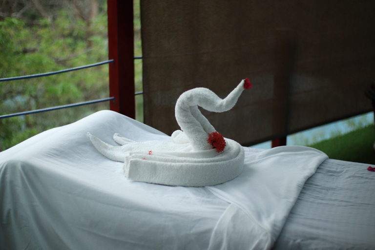 Bedroom 5, Jungle's Edge: Jiu-Jitsu, Muay Thai & Yoga Retreats, Nicoya