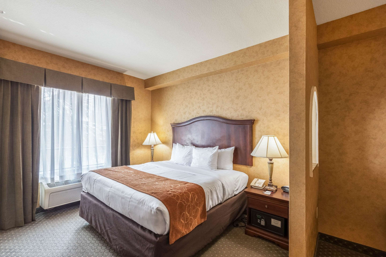 Bedroom 3, Comfort Suites Alamo - Riverwalk, Bexar