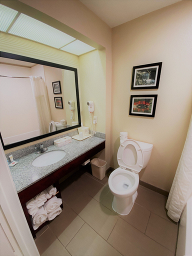 Bathroom 4, Comfort Inn Birmingham - Irondale, Jefferson