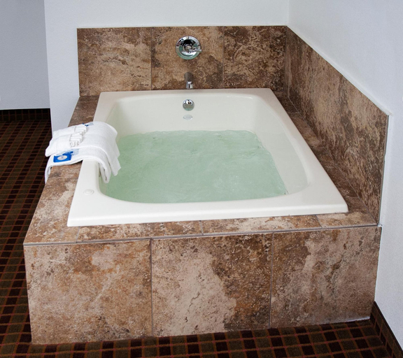 Bathroom 3, Express Inn & Suites, Hunt